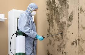 Best Mold Removal for HVAC Installations  in Verona, PA